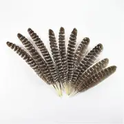 20-40cm/8-16inch Real Natural Eagle Feathers Trim Turky Plumes For Crafts Holiday Decorations Handicraft Accessories