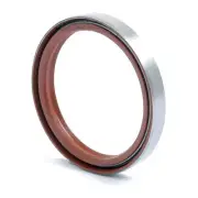 Retainer Seal 1860867M1 Fits Massey Ferguson 150 451 65 583 491 461 1860867M5