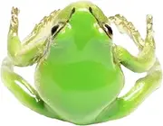 [Generic] Cute Rings - Frog Jewelry, Green Frog Resin Ring | Weird Green Resin Ring, Weird Green Resin Ring Frog Jewelry, Cool Adjustable Tree Frog Ring, Open Frogs Shaped Delicate Handmade Jewelry for Adults