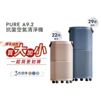 在飛比找momo購物網優惠-【大+小組合】Electrolux 伊萊克斯 Pure A9