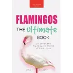FLAMINGOS: DISCOVER THE FLAMBOYANT WORLD OF FLAMINGOS