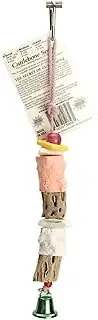 Polly's Bird Chew Toy, Small