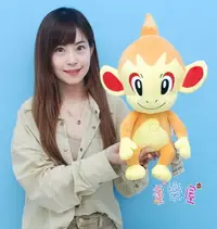 在飛比找Yahoo!奇摩拍賣優惠-娃娃樂園 小火焰猴 神奇寶貝娃娃 15吋 Pokemon 精