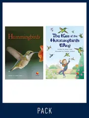 Flying Start Guided Reading Level 23, Pack 1
