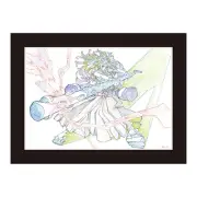 TOEI ANIMATION ONE PIECE ILLUSTRATION WORKS Art Collection Board Yamato New