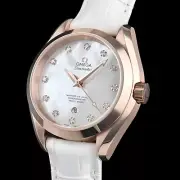 Omega Seamaster Co-Axial Aqua Terra 231.53.34.20.55.001 woman