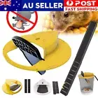 MouseTrap Flip N SlideBucket Lid Mouse Rat Trap With Ladder Mouse trap CatcherAU
