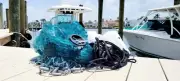 7Ft- Tilapia/ Mullet - 1 1/4 Square Mesh Cast Net
