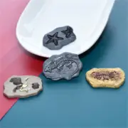 10 pcs Bulk Flat Back Resin Fossils Embellishments Decors DIY Scrapbooking 2-3cm