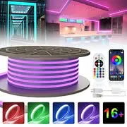 LED Neon RGB Light Strip 3M-30M with Bluetooth APP Control, Waterproof IP65 Music Sync Multi-Color Flexible Strip for Home, Garden, Building Decor AC220V