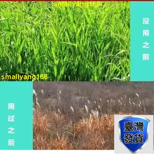 臺灣出出售 爆火速草霸 精草銨膦 銨鹽草銨膦果園除草不殘留除草高濃度正品園林