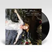 What The Flood Leaves Behind (Vinyl)