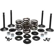 KW Complete Black Diamond Engine Valve Kit Harley Super Glide 78-83