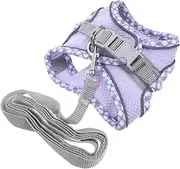 Totority 1set Cat Leash Reflective Strips Lightweight Vest for Small Cats and Kittens Practical Walking Accessory XXS