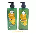 2 Herbal Essences Sulfate Free Honey & Vitamin B Daily Moisture Shampoo 20 fl.