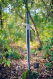 Hand Forged Carbon Steel Viking Sword Battle Ready Razor Medieval with Scabbard