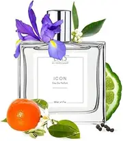 EI Perfume for Men | Aromatic Citrus Fresh Spicy | EDP Spray Strong and Long Lasting Spray | Luxury for Him | 50 ml - By CloudExport