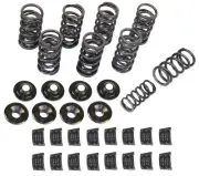 EMPI RACE HIGH REV DUAL VALVE SPRING KIT VW DUNE BUGGY BEETLE BUG THING GHIA
