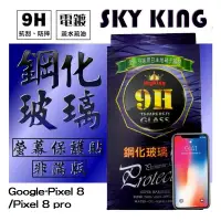 在飛比找蝦皮購物優惠-【SKY KING】★Google-Pixel 8 /Pix