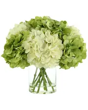 Creative Displays Green & White Hydrangea Florals Arranged in Glass Vase