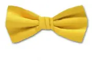Boy's Canary Yellow Solid Satin Pre-Tied Bowtie for Schools - Weddings- NWT
