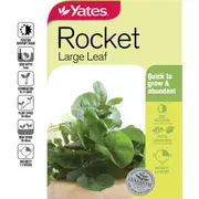 Yates Rocket Large Leaf Seeds each