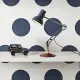 Anglepoise Type 75 Mini 桌燈 Paul Smith 4 聯名