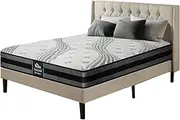 [BEDRA BEDDING] Foam Mattress 18CM - Euro Top Mattress 7 Core Layer with Pocket Coils System for Luxurious Rest Pressure Relief, Double Size