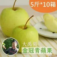 在飛比找台灣好農優惠-大禹嶺阿信金冠青蘋果(5斤/箱)*10箱