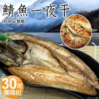 在飛比找momo購物網優惠-【優鮮配】挪威當季鯖魚一夜干30尾團購組(約380g/整尾)