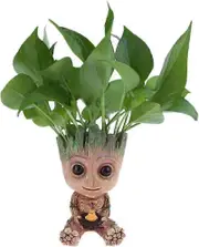 Baby Groot Flower Pot - Guardians of the Galaxy Groot Pen Holder, Desktop Decoration, Plant Pot with Drainage Holes