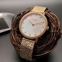 在飛比找ETMall東森購物網優惠-COACH手錶, 女錶 26mm 金色圓形精鋼錶殼 貝母中二