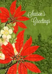 Red Poinsettia Season's Greetings Joy of The Holidays Greeting Cards - Set of 13