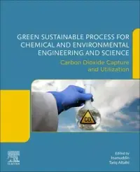 在飛比找博客來優惠-Green Sustainable Process for 