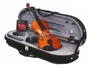 New Student Model 4/4 Solid Wood Violin+Bow+Moon Shpae Case+String Set
