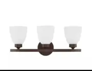 Homeplace 114331bz-333 Jameson 3 Light 21” Bronze Vanity Light, Factory Sealed