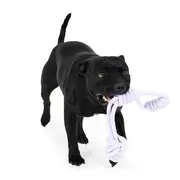 All Day Rope Ball Tug with Handle Dog Toy Purple
