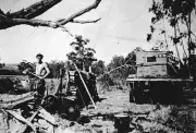 Nar Nar Goon Victoria 1938 - A man cutting wood. There is a truck - Old Photo