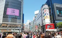 在飛比找KLOOK 客路優惠-東京包車購物一日遊