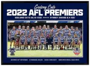 2022 Geelong Cats Official AFL Premiers Photo Poster Framed Memorabilia