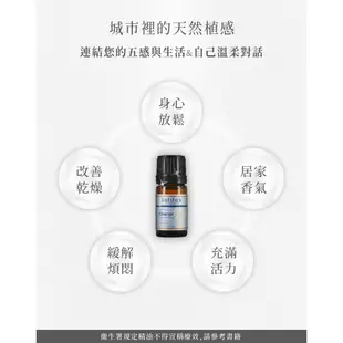 荷柏園Herbox 甜橙精油 5ml