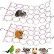 Jevnd 2 Pcs Rat Climbing Net Toy for Cage, Bird Hemp Rope Perch Swing, Ladder Bridge Hanging Hammock, Small Animal Activity Toy for Mouse, Mice, Parrot, Bird (Random Color)