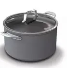 Ninja C30480 NeverStick Premium Hard-Anodized 8-Quart Stock Pot with Glass Lid