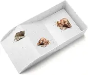Ziliny Hermit Crab Water Tank with Climbing Ramp Large Reptile Climbing Toy Tortoise Habitat Accessories Turtle Basking Platform Aquarium Pool Supplies for Small and Medium Amphibians (Light Gray)