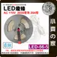 【快速出貨】LED燈條 110V 6米 264顆/米 2835三排 超亮 暖光白光 露營燈 LED-56-5 小齊的家