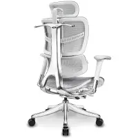 在飛比找露天拍賣優惠-辦公椅Ergomax Evolution電腦椅人體工學椅家用