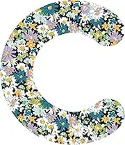 Liberty Libby B C Upper Letter Applique, 2 Inch