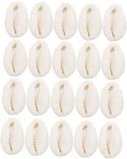 [HAWILLOSCH] 40Pcs Irregular Shell Charms Jewelry Making Pendants for DIY Necklaces Bracelets Earrings Ocean Inspired Accessories Unique Sea Creature Beads