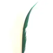 Golden Pheasant Centre Tail Feather x 10 pcs - Green SHORT ((BULK PACK))