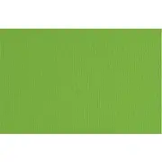 Fabriano Elle Erre 220gsm A4 Paper Green